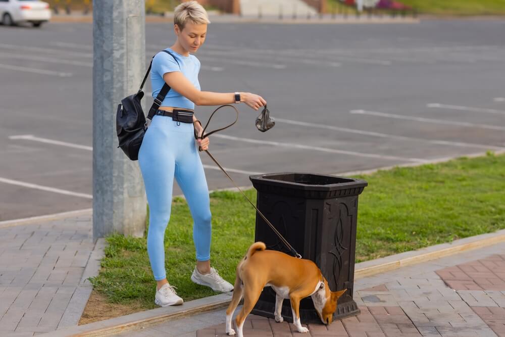 Sprzątanie po psie – wyrzucanie psich odchodów w biodegradowalnym worku